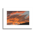 The Great Orange Poster (Colored Frame)
